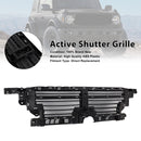 Air Collecting Hood Grille Shutter P2DZ16138A Fit Ford Bronco 2021-23 W/O Motor-2