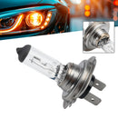 Lâmpada halógena para farol de carro H7 12V 55W PX26d para HELLA 8GH 178 555-013-6