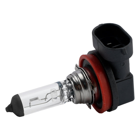Car Light Halogen Headlight Bulb H11 12V 55W PGJ19-2 For HELLA 8GH 178 555-111