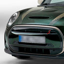 Emblema do decalque da grade dianteira S para MINI Cooper R50 R53 R55 R56 R57 R59 F56 F55-21