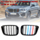 2018-2021 BMW X4 G02 xDrive30i/xDrive20d/xDrive30d/xDrive30e/M40i Calandre noire brillante Calandre de couleur M-3